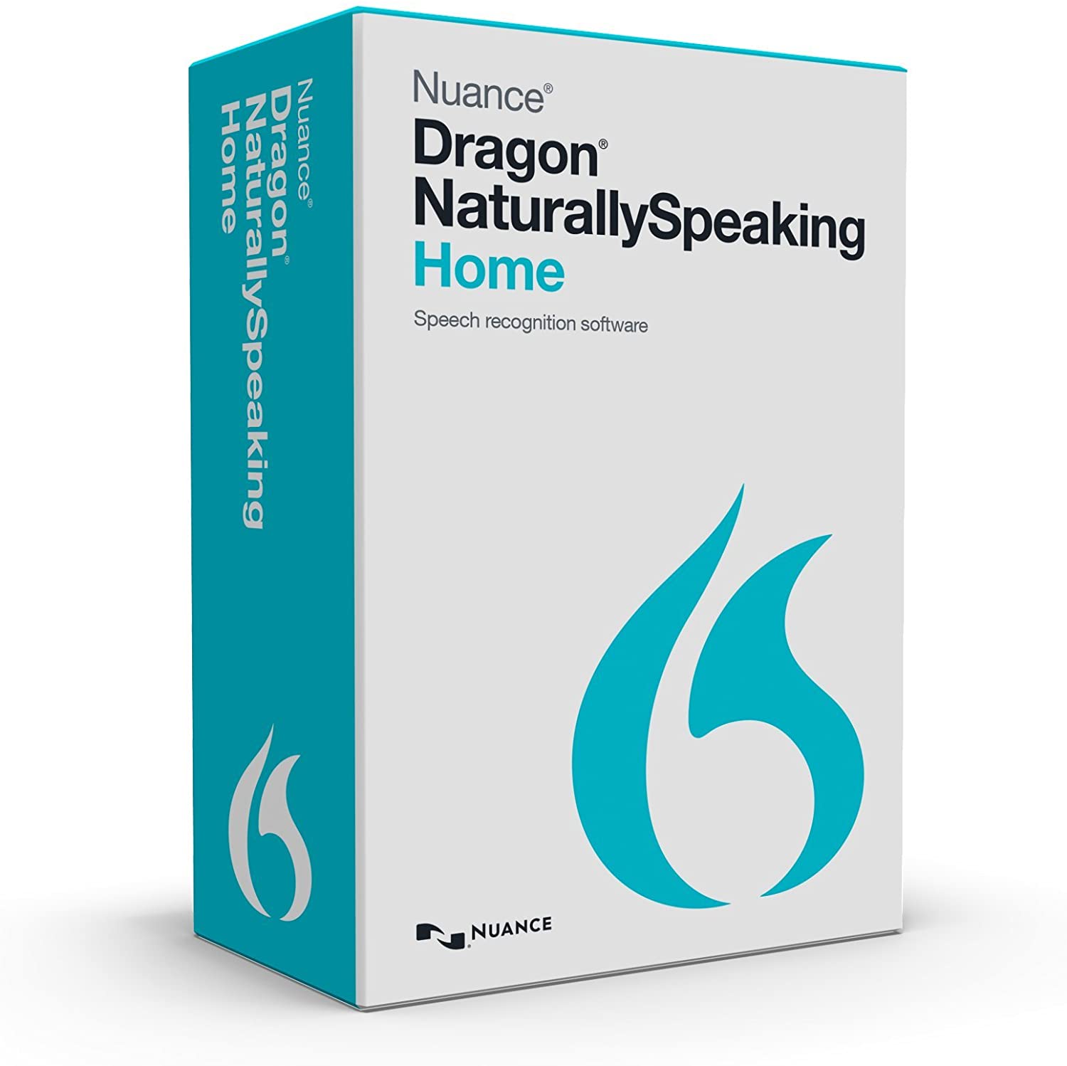 dragon professional for mac v6 review